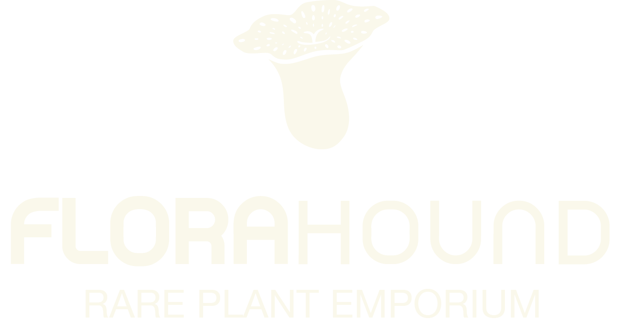 Florahound